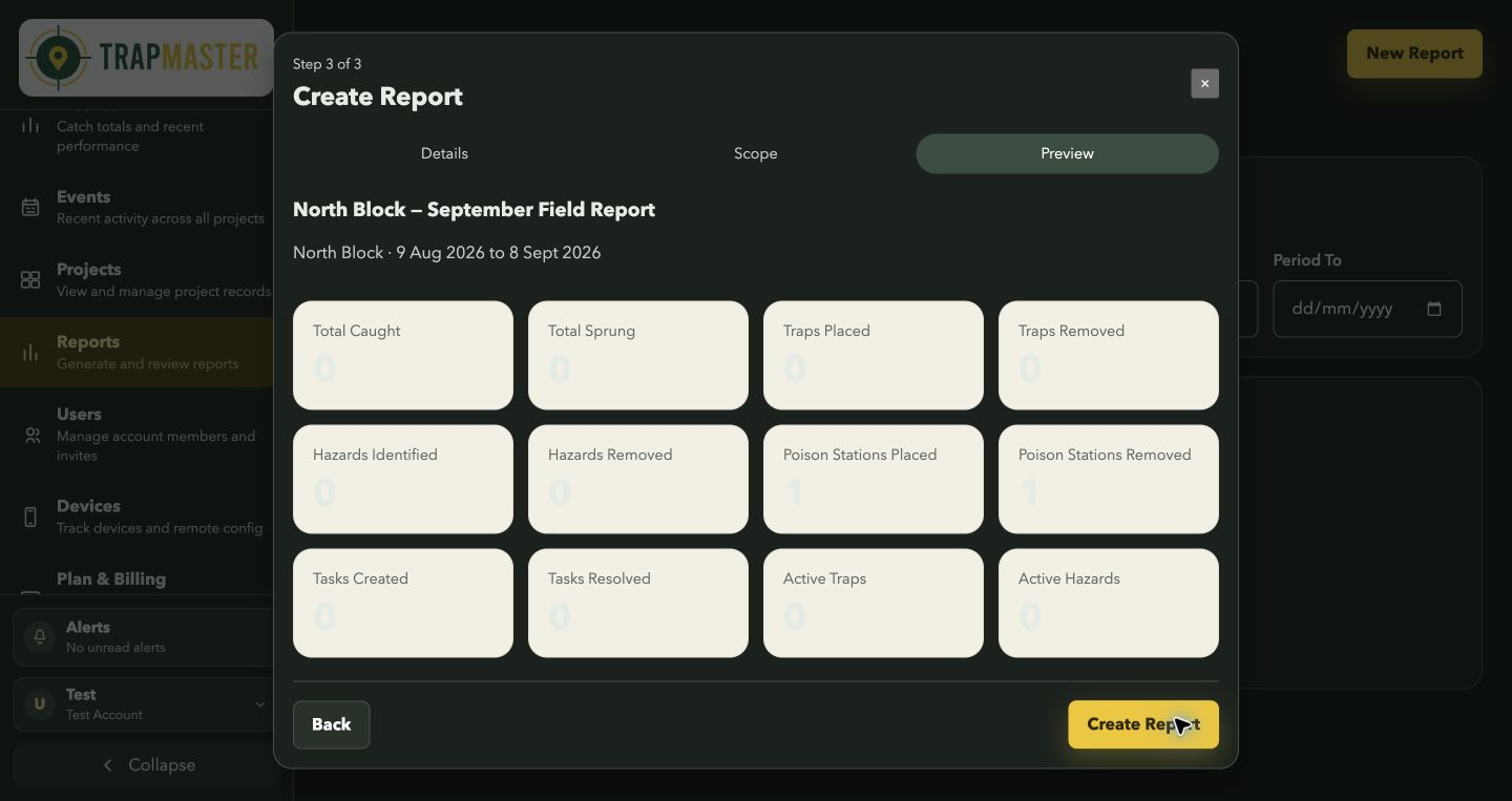 Report preview and Create Report button