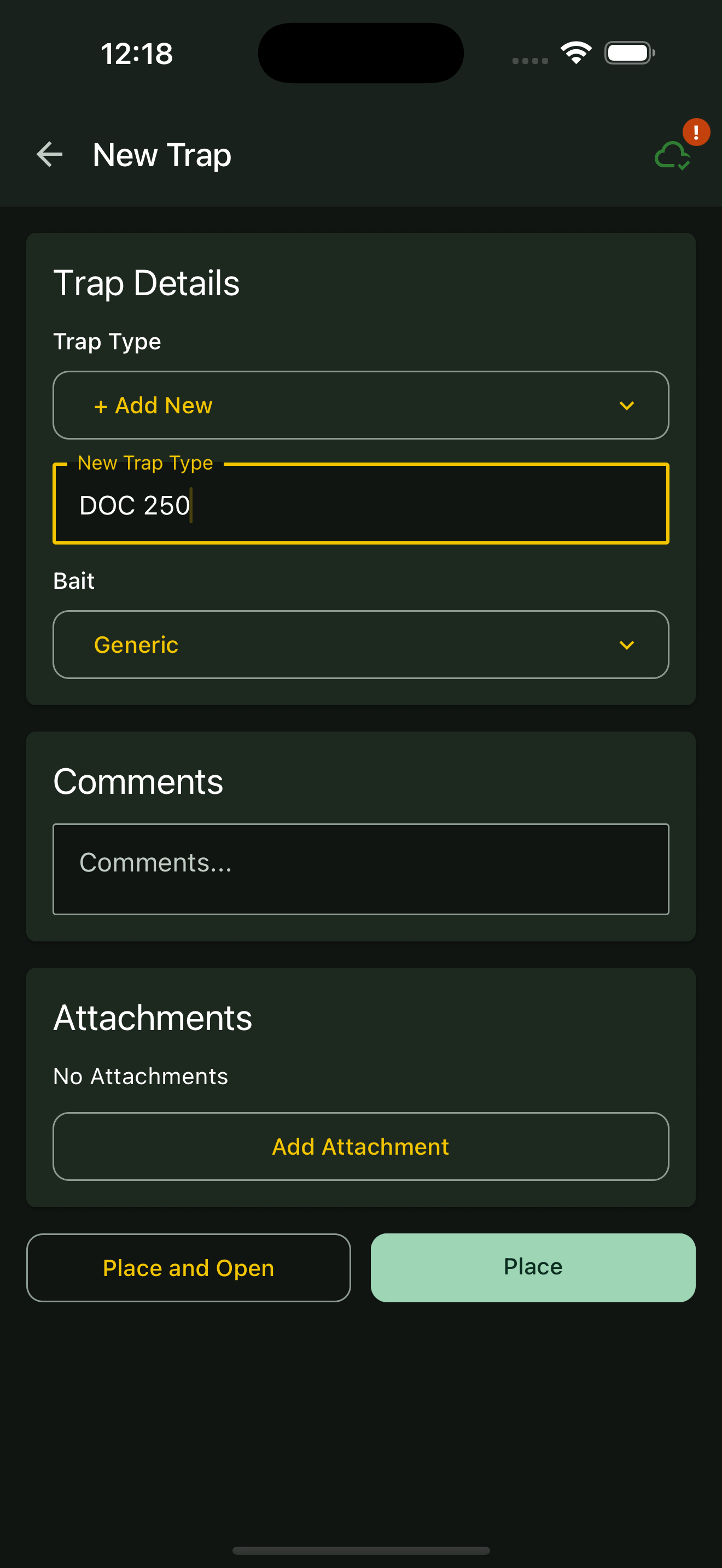 Custom type field and save actions