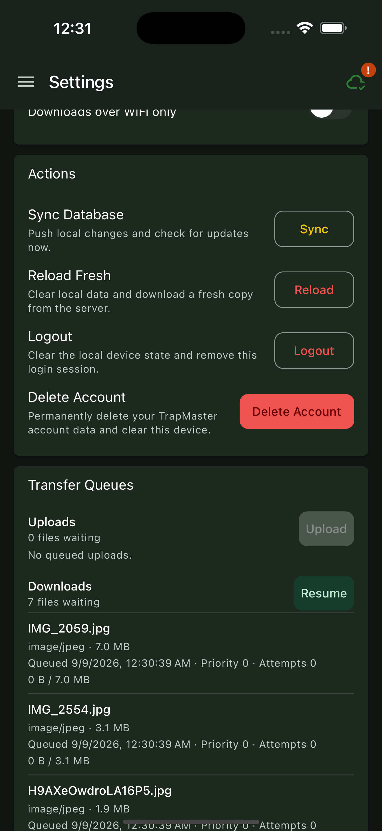 Sync Database action in Settings